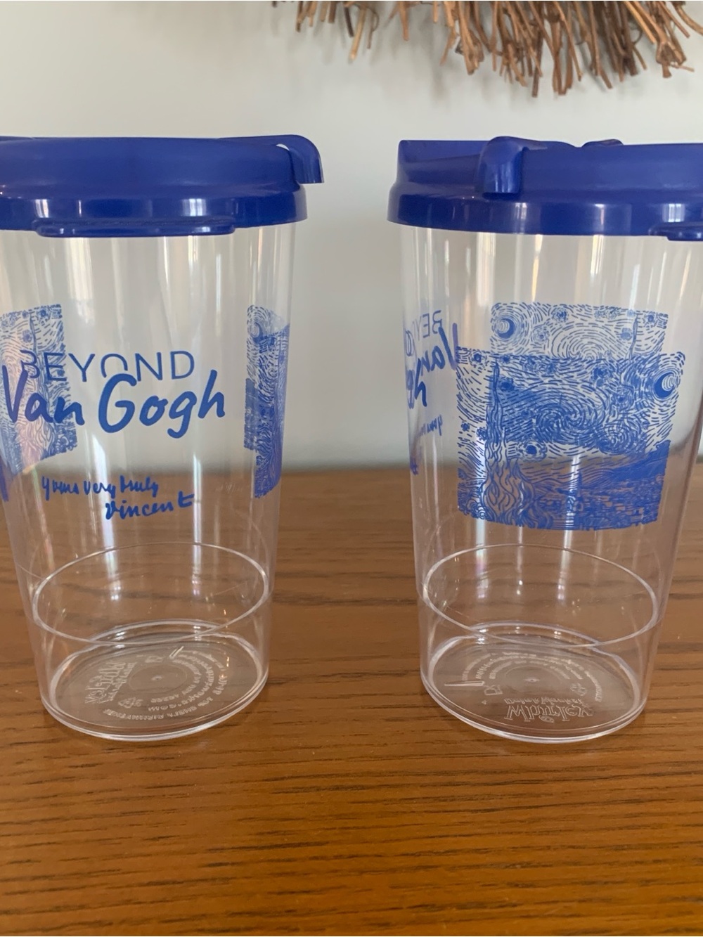 Beyond VanGogh souvenir plastic drinking tumblers